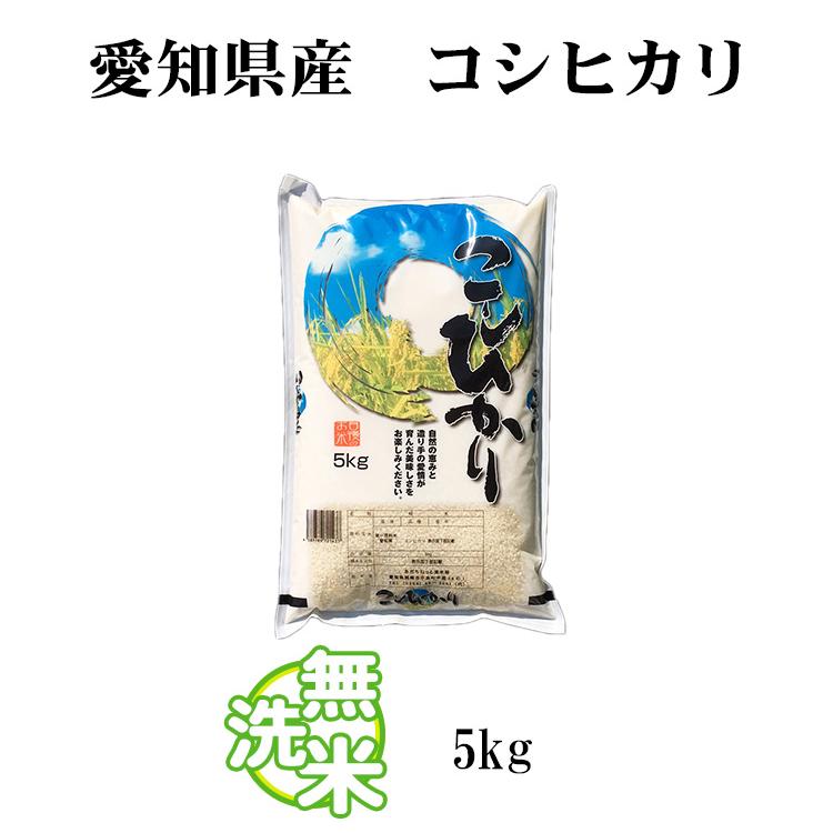 新米 無洗米 5kg 送料別 コシヒカリ 愛知県産 令和5年産 米 5キロ お米 あす着く食品