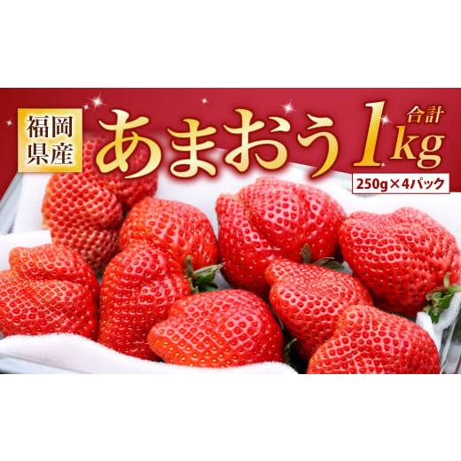 ふるさと納税 福岡県 北九州市  福岡県産 あまおう 計1kg (250g×4パック)