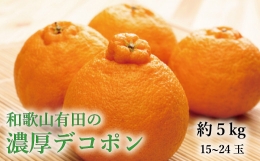 和歌山有田の濃厚デコポン　15～24玉(約5kg)　※2024年1月中旬～3月中旬頃に順次発送