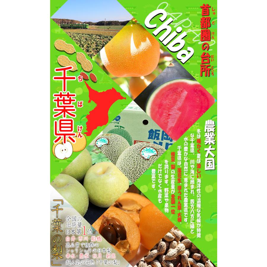 シルクスイート 特大さつまいも 約10kg L〜3Lサイズ 千葉県・茨城県産 お得用 家庭用限定 産地箱入り 滑らかな食感と溢れんばかりの甘さ！