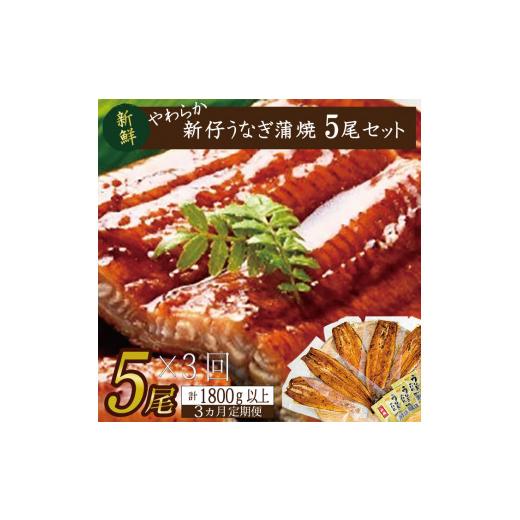 ふるさと納税 茨城県 行方市 AD-87　やわらか新仔うなぎ蒲焼120〜140ｇ　5尾×3回　計1800ｇ以上