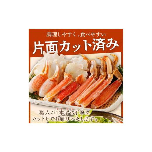 ふるさと納税 京都府 京丹後市 蟹・ズワイ蟹／蟹お刺身＆蟹しゃぶ／鮮度抜群！お刺身でも食べられる！カット生ズワイガニ ２肩分　＜ハーフ ポーション＞　蟹…