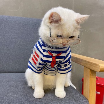 貓咪衣服夏季寵物t恤 夏天 薄款條紋幼小型犬狗狗貓咪藍貓【淘夢屋】