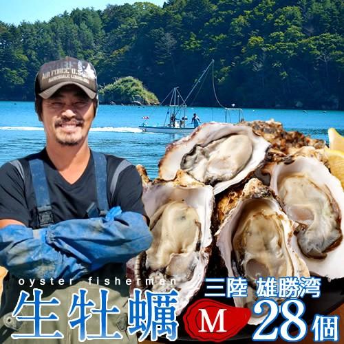 生牡蠣 殻付き M 28個 生食用 生ガキ 宮城県産 漁師直送 格安 生かき お取り寄せ バーベキュー［お歳暮 2023 ギフト 御歳暮］