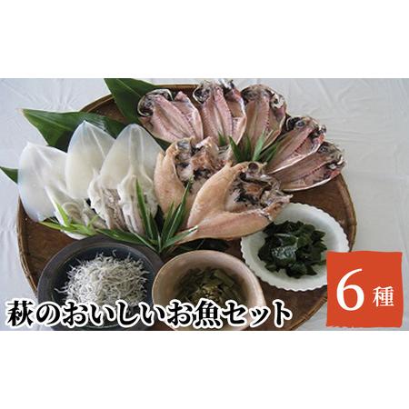 ふるさと納税 魚 セット 詰め合わせ 萩のおいしいお魚セット 魚介 魚介類 海鮮 海鮮セット あじ のどぐろ わかめ イカ ちりめん 山口県萩市