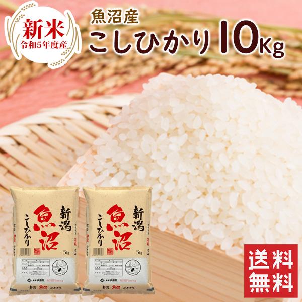 新米 魚沼産（新潟県）コシヒカリ 10kg（5kg×2袋）  送料無料 令和5年度産 魚沼産 新潟県産  お米 10kg（北海道・沖縄別途送料）（配達日・時間指定は不可）