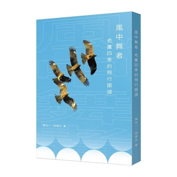 風中舞者：老鷹四季的飛行圖譜