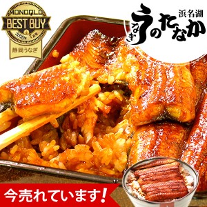 お歳暮 ギフト 国産 うなぎ 蒲焼き 鰻 ギフト 土用 誕生日プレゼント お祝い返し お試し 訳あり こぶりカット 1枚 かば焼き ギフト 静岡