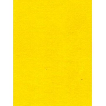 【文具通】全開 全K 書面紙 海報紙 黃色 出貨量為5張 購買前請注意，紙製品不接受退換貨! P1400002