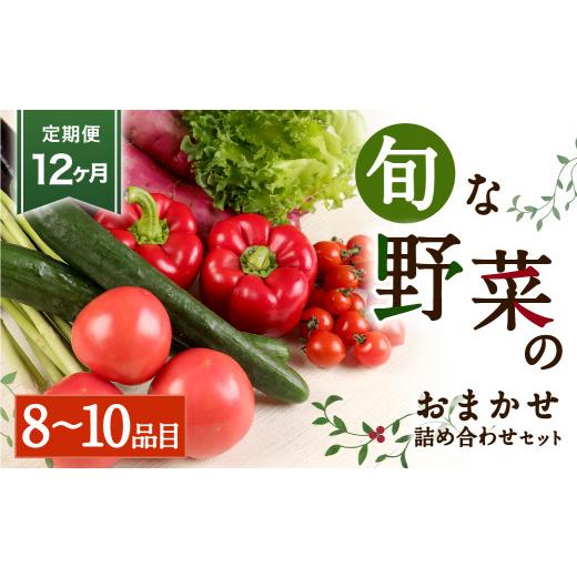 ふるさと納税 熊本県 合志市 旬な野菜おまかせ詰め合わせセット 定期便12か月コース