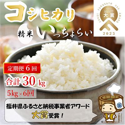 ふるさと納税 あわら市 「いっちょらい」 福井県産 コシヒカリ 精米 5kg 全6回