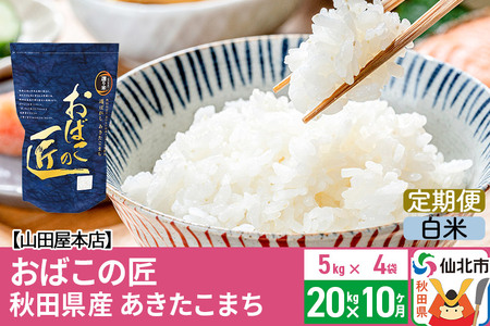 《定期便10ヶ月》令和5年産 仙北市産 おばこの匠 20kg×10回 計200kg 秋田県産あきたこまち 秋田こまち お米 10か月 10ヵ月 10カ月 10ケ月