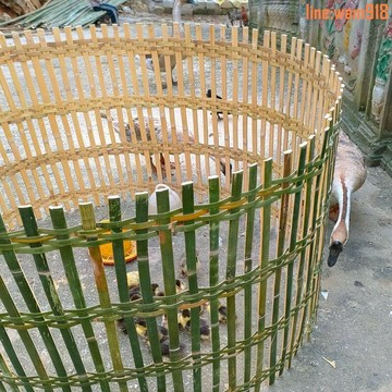 【店長推薦】家用可移動圍欄圍雞鴨子竹圍欄小雞竹圍欄花園圍欄柵竹圍欄養雞鵝