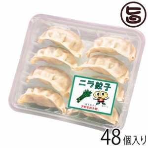 ニラ餃子 8個入り×6パック 48個入り 宇都宮餃子館 栃木県 宇都宮 お取り寄せ 惣菜 冷凍