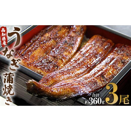 ふるさと納税 高知県 香南市 うなぎ屋きた本 うなぎ蒲焼き120g 3尾セット(無頭) un-0011