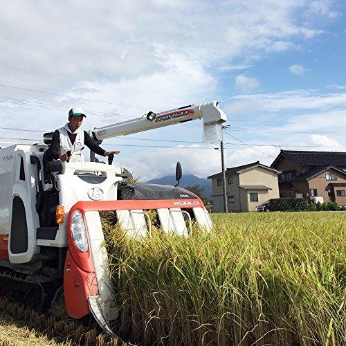  令和３年産 富山県産 コシヒカリ 黒部川扇状地で育ったドリームファームのこだわり米 (5kg)