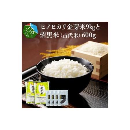 ふるさと納税 B01014　ヒノヒカリ金芽米9kgと紫黒米（古代米）600g 大分県大分市