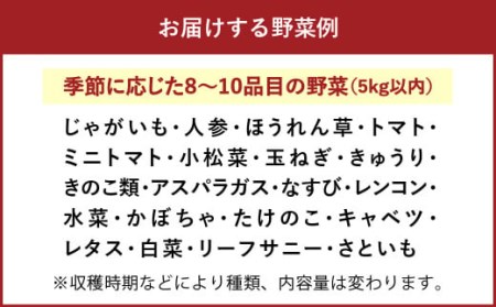 旬な野菜おまかせ詰め合わせセット 定期便12か月コース