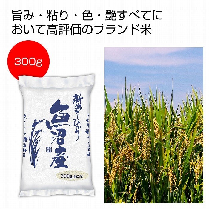 ケース販売のみ・５０個単位でご注文下さい　魚沼産コシヒカリ３００ｇ　　・送料無料　・粗品 販促品に最適！