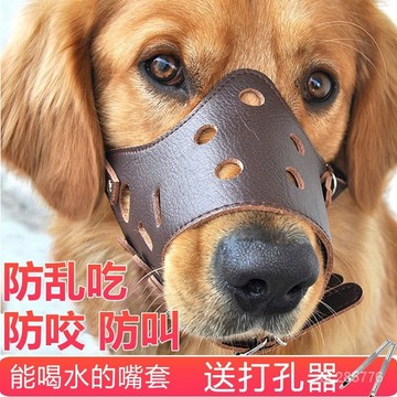 狗狗嘴套狗嘴罩防咬叫亂喫小中大型犬狗口罩金毛狗止吠器寵物嘴套 UL9N
