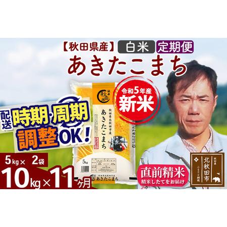 ふるさと納税 《定期便11ヶ月》＜新米＞秋田県産 あきたこまち 10kg(5kg小分け袋) 令和5年産 お届け時期選べる 隔月お届けOK お米 み.. 秋田県北秋田市