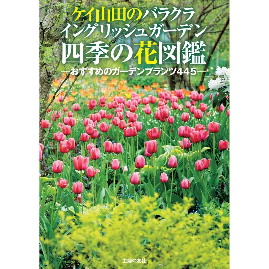 ケイ山田のバラクライングリッシュガーデン四季の花図鑑