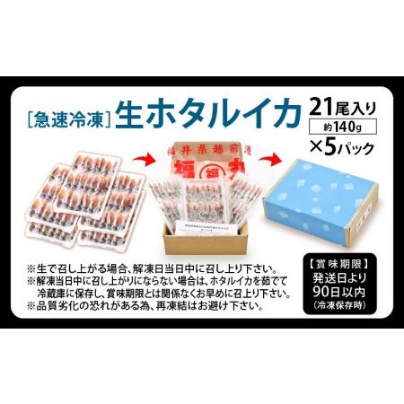 ふるさと納税 急速冷凍 生 ホタルイカ 21尾入 × 5パック 合計約700g（刺身・しゃぶしゃぶ用） 上品な甘みを存分にお楽しみください！ [e15-.. 福井県越前町