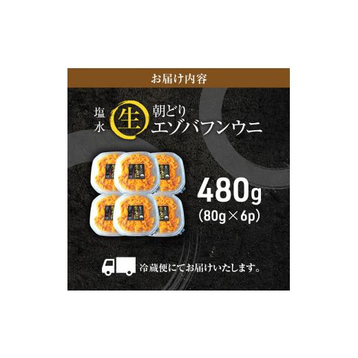 ふるさと納税 北海道 利尻町 北海道利尻島産「朝どり」生うに塩水パック80g×6パック（蝦夷バフンウニ）［2024年6月発送開始先行受付] ウニ 塩水ウニ 北海道 …