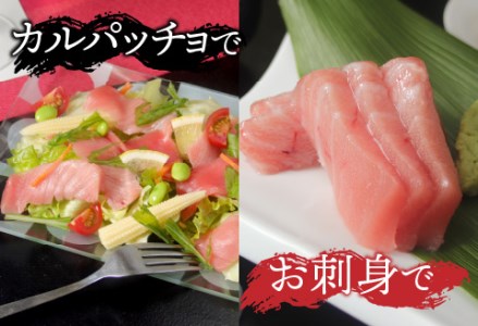 本マグロ　中トロ　500g（柵どり）