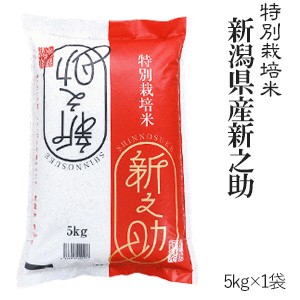 新米 新之助 5kg 令和5年産 特別栽培米 新潟産 ※送料無料(一部地域を除く)