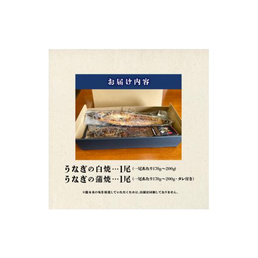 ふるさと納税 福岡県 久留米市 うなぎの白焼・蒲焼セット　（特大サイズ　一尾　170g〜200g）