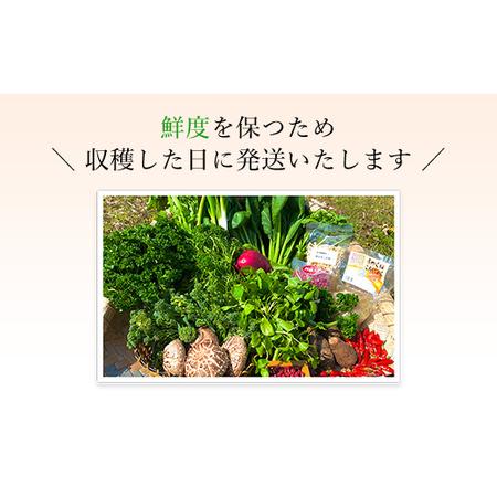 ふるさと納税 京野菜15品目詰合せ FCCM003 京都府福知山市