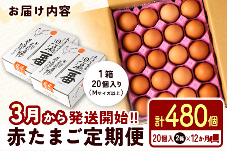 ＜児湯養鶏自慢の卵＞ネッカリッチ赤たまご「児湯一番」 計480個 （20個入×2箱）×12か月定期便