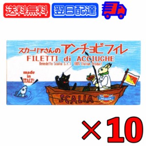 スカーリア スカーリアさんのアンチョビ 45g 10個 缶 固形量 23g アンチョビ フィレ お中元 イタリア シチリア産 熟成 いわし カタクチイ