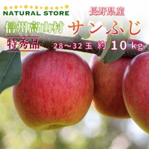 [予約 2023年12月1日-12月15日の納品] 特秀 サンフジ  28-32玉 約10kg 大玉 りんご 長野県 信州高山村 冬ギフト お歳暮 御歳暮