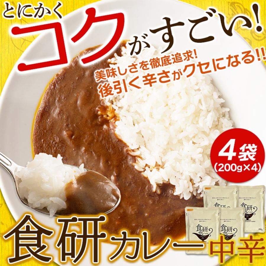 美味しいレトルト食研カレー4食(200g×4袋) 20種類以上のスパイス使用！ SM00011161