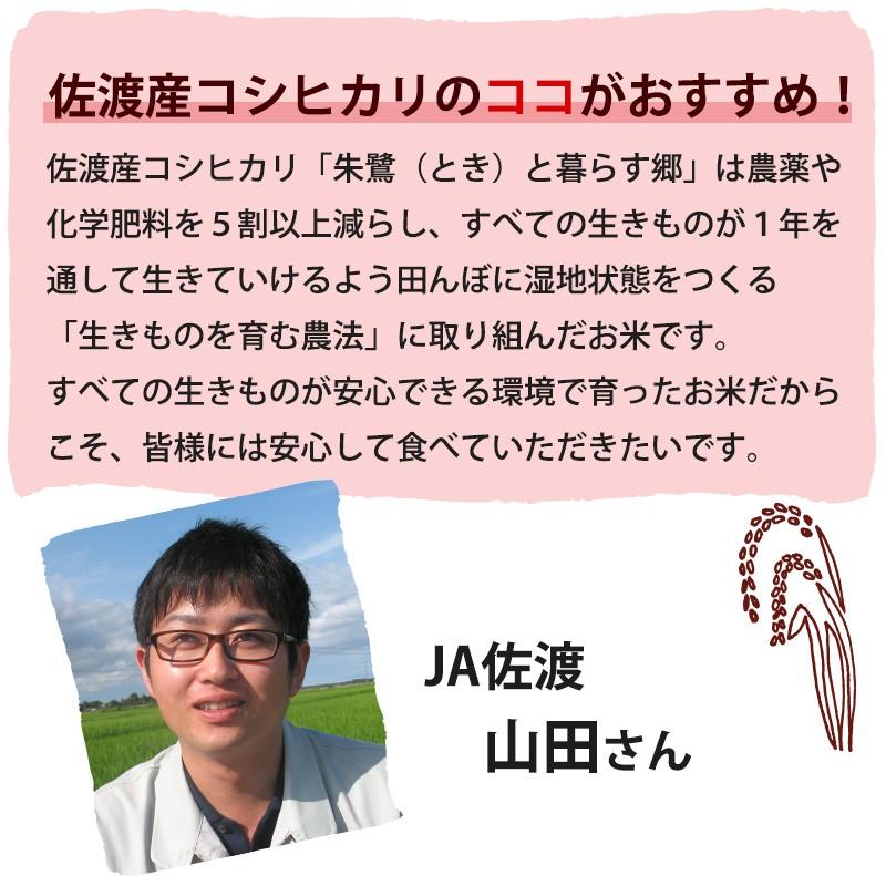 お米 米10kg 送料無料 佐渡産コシヒカリ 10kg(5kg×2) 特別栽培米 朱鷺と暮らす郷 新潟米