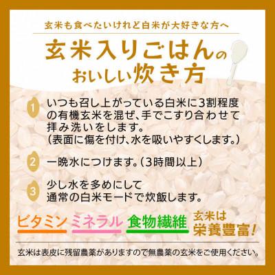 ふるさと納税 越前町  越前コシヒカリ 2kg 令和5年産 新米 福井県産