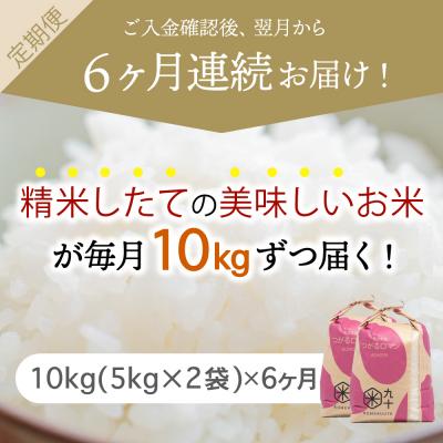 ふるさと納税 五所川原市  米 10kg つがるロマン 青森県産 定期便6回 10kg×6回