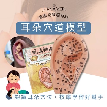 耳穴模型 PVC耳朵穴道模型 耳朵穴位標示 課程教材模型 耳穴貼道具 模型 耳豆貼道具 按摩耳 穴道耳