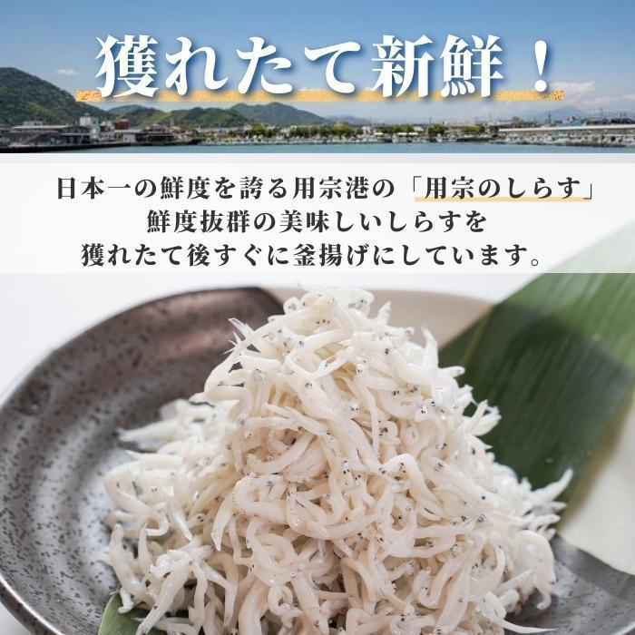 駿河湾産 釜揚げしらす「駿河湾産 釜揚げシラス 100ｇ」しらす 釜揚げ 産地直送 小分け 送料無料(本州のみ)