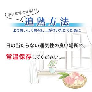 ふるさと納税 2024年発送 先行予約 浅間水蜜桃 みつおかの もも 川中島白桃 秀品 約2kg 5〜9玉 長野県小諸市