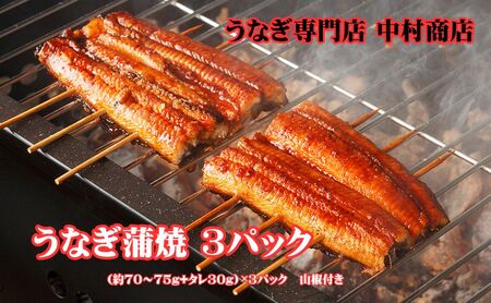 うなぎ専門店「中村商店」のうなぎ蒲焼 3パック