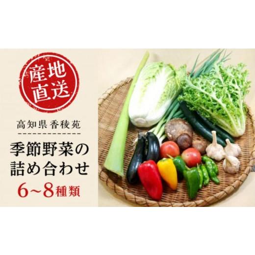 ふるさと納税 高知県 南国市 　高知県産　南国土佐の季節の野菜詰め合せセット