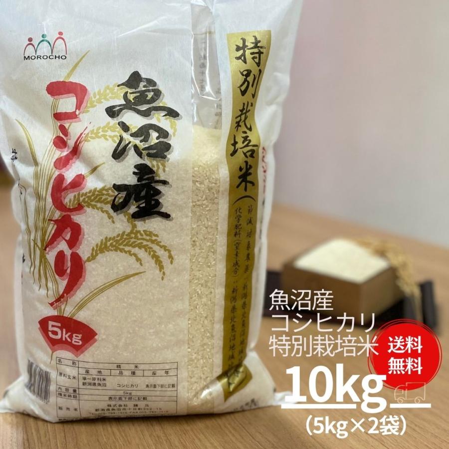 新米 米 お米 10kg コシヒカリ こしひかり 魚沼産 特別栽培米 5kg×2袋 本州送料無料 令和5年産