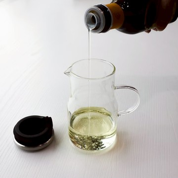 日本 SALUS 玻璃調料收納罐 (把手款) 325ml 調味罐