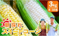 朝採れスイートコーン 3kg (8～10本) 野菜 とうもろこし とうきび トウキビ BBQ キャンプ 旬 おやつ 特産品 sg-0005