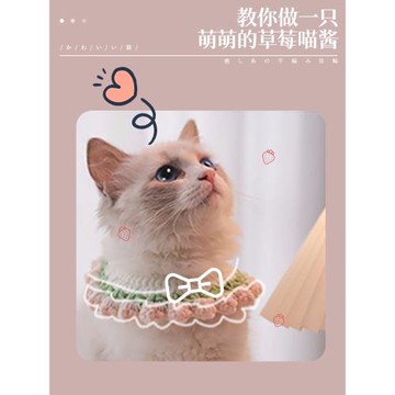 貓咪項圈寵物用品裝飾貓貓鈴鐺狗狗圍脖飾品圣誕新年小貓脖圈領結