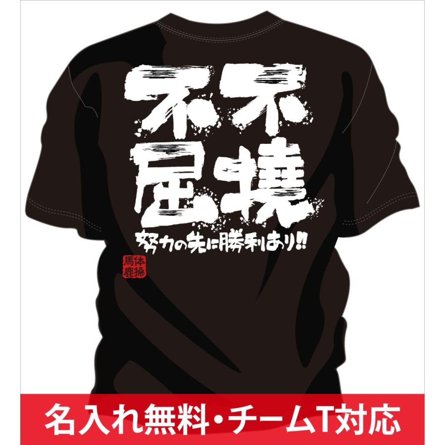 テニス 練習着 Tシャツ ソフトテニス tシャツ チーム 部活 ジュニア キッズ 対応 メッセージ 文字入り 名言 格言 おもしろ 面白い