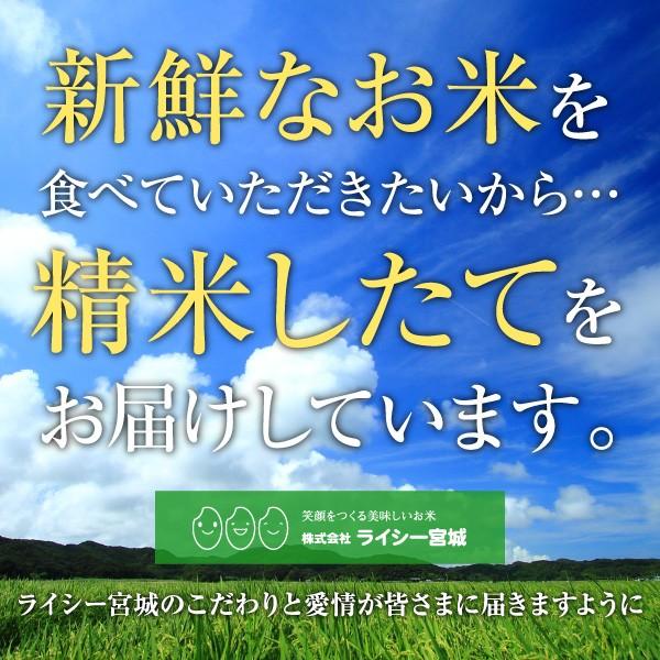 新米 ひとめぼれ 米 30kg 令和5年産 5kgx6袋 お米 宮城県産 白米 送料無料 精白米 産地直送